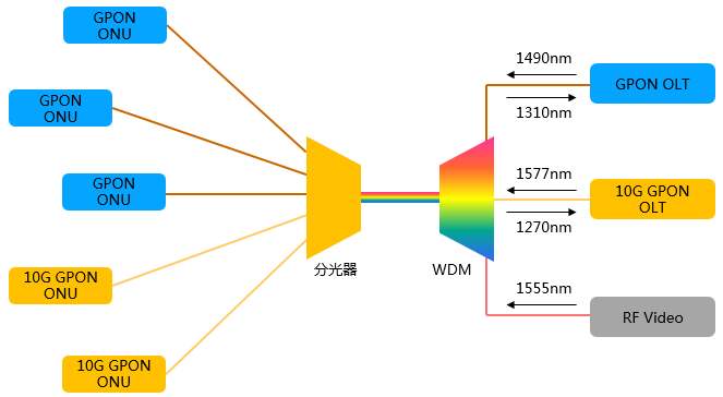 10g gpong(sh)